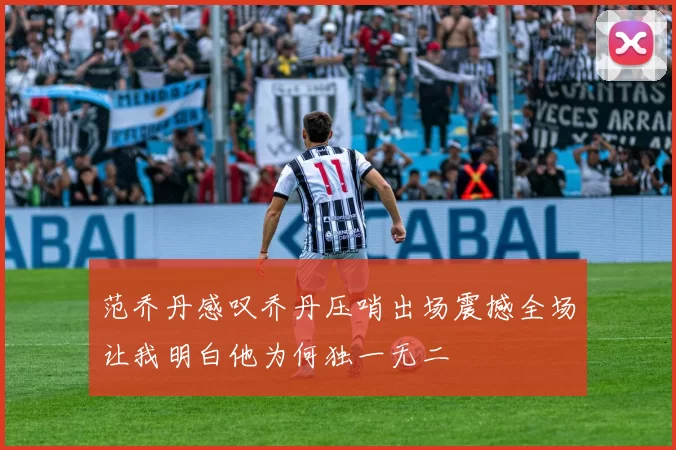范乔丹感叹乔丹压哨出场震撼全场让我明白他为何独一无二